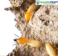 SAMS Termite Control Melbourne image 4